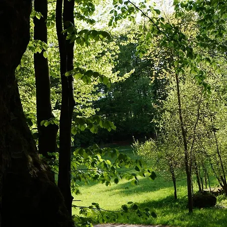 Kleine Ferienwohnung Auf Dem Land, Haus Hans Stepha Gössweinstein Exterior foto
