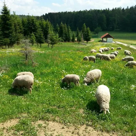 Kleine Ferienwohnung Auf Dem Land, Haus Hans Stepha Gössweinstein Exterior foto