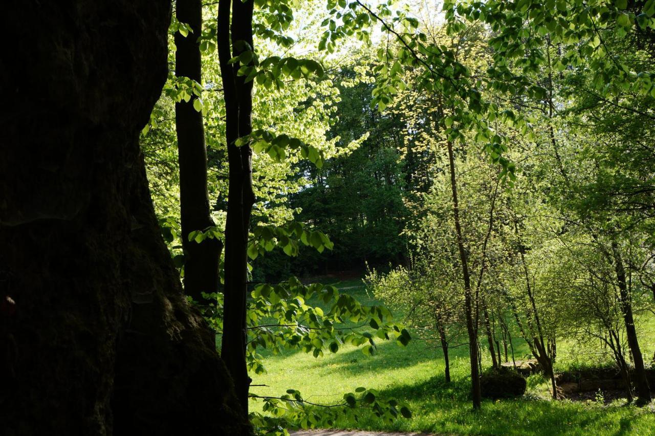 Kleine Auf Dem Land, Haus Hans Stepha Appartement *