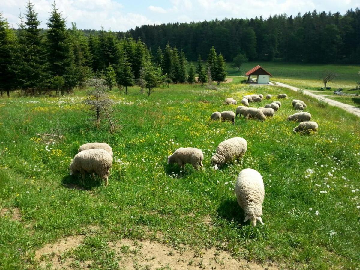Kleine Auf Dem Land, Haus Hans Stepha *