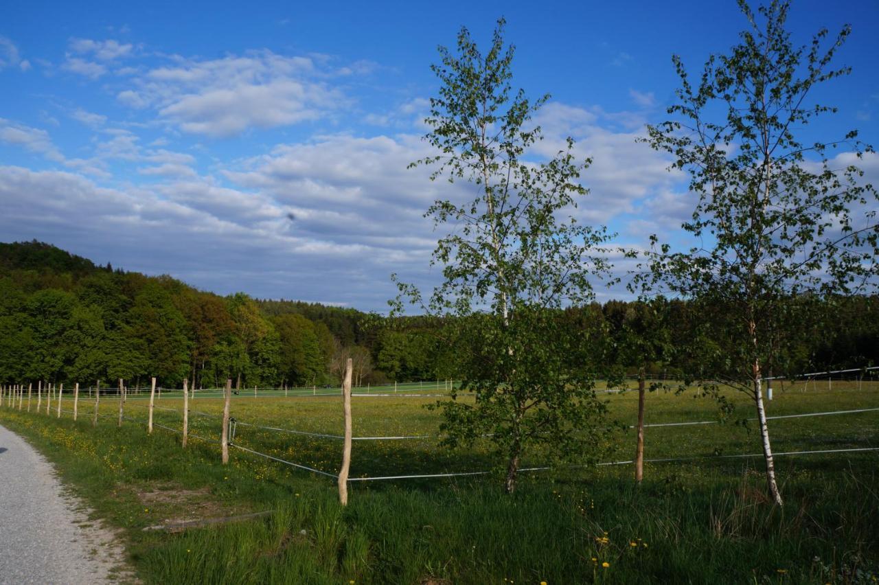 Kleine Auf Dem Land, Haus Hans Stepha * Goessweinstein