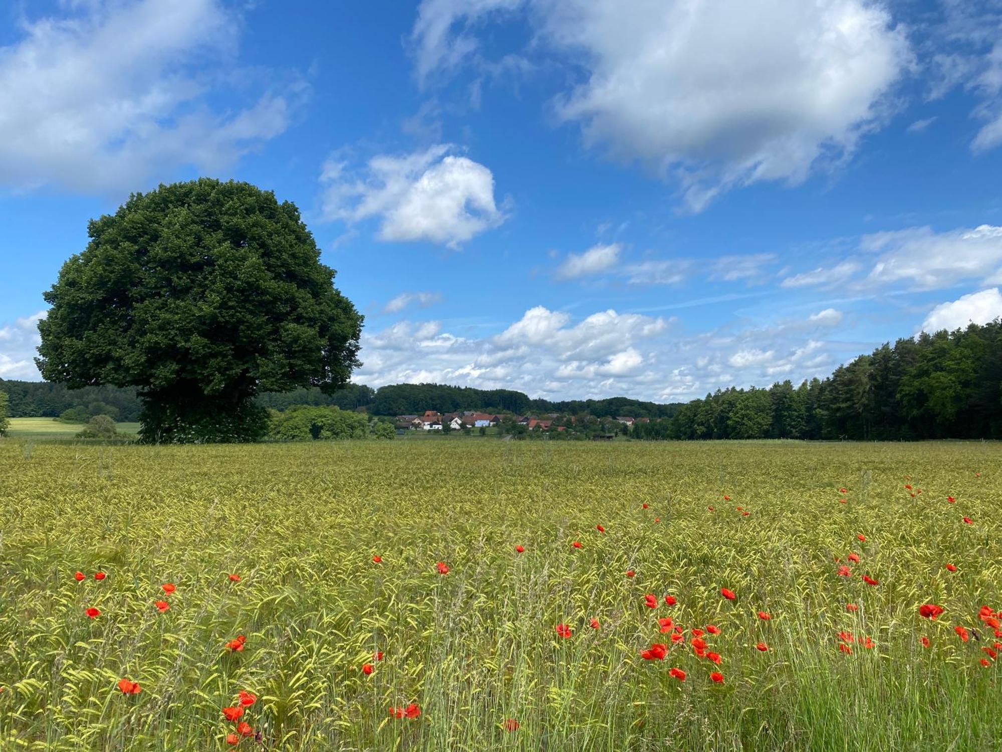 Kleine Auf Dem Land, Haus Hans Stepha * Goessweinstein